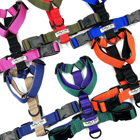 Colour Block Webbing Strap Dog Harness