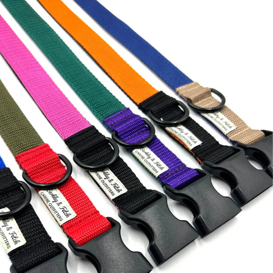 Colour Block Webbing Dog Collar