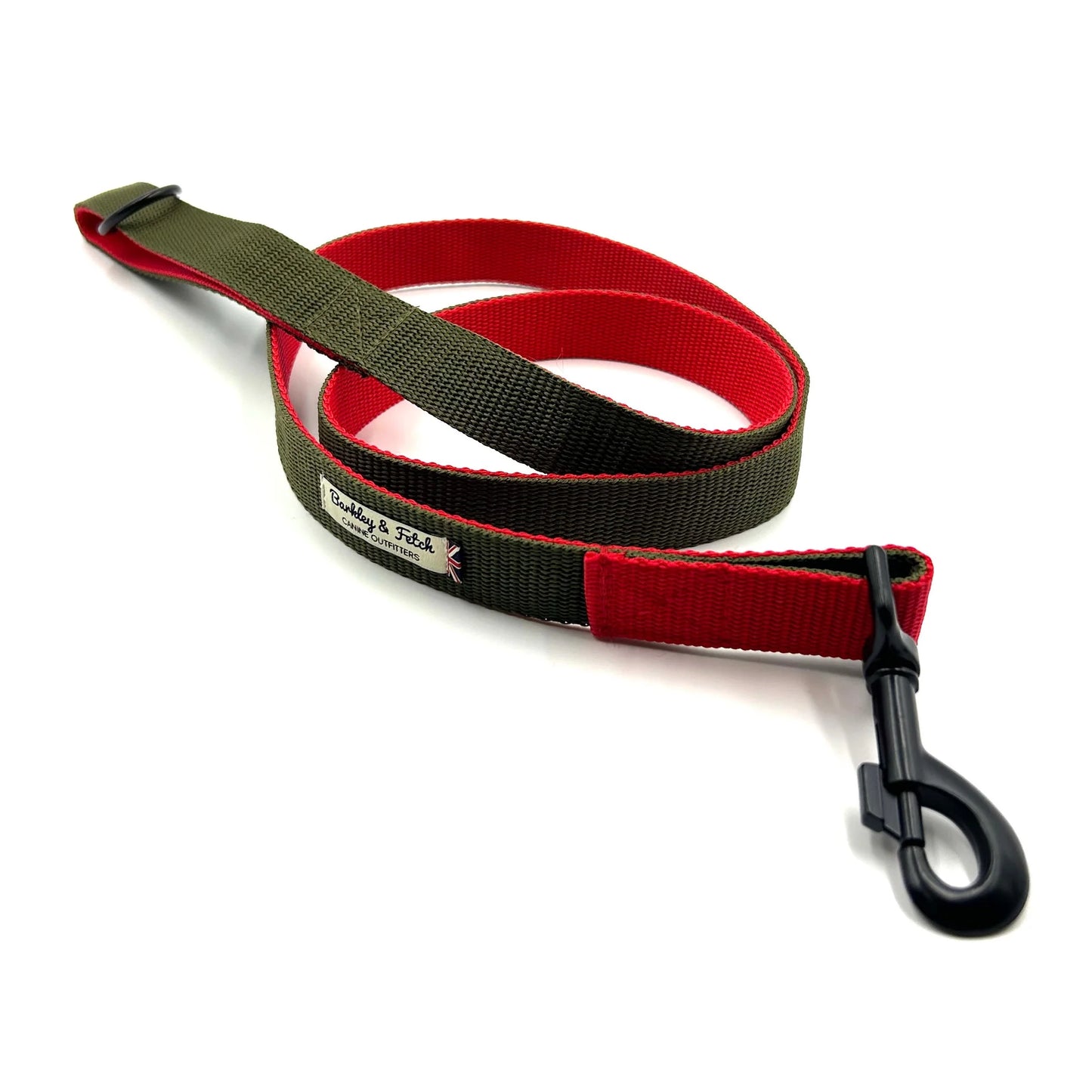 Colour Block Webbing Dog Lead