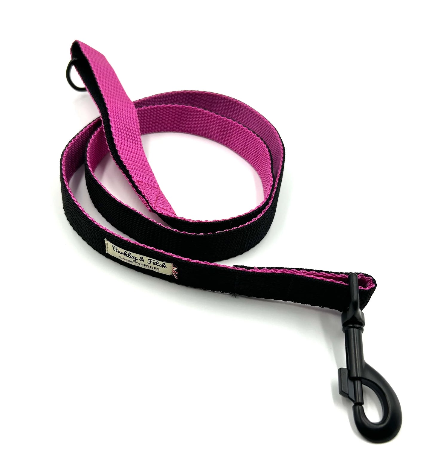Colour Block Webbing Dog Lead
