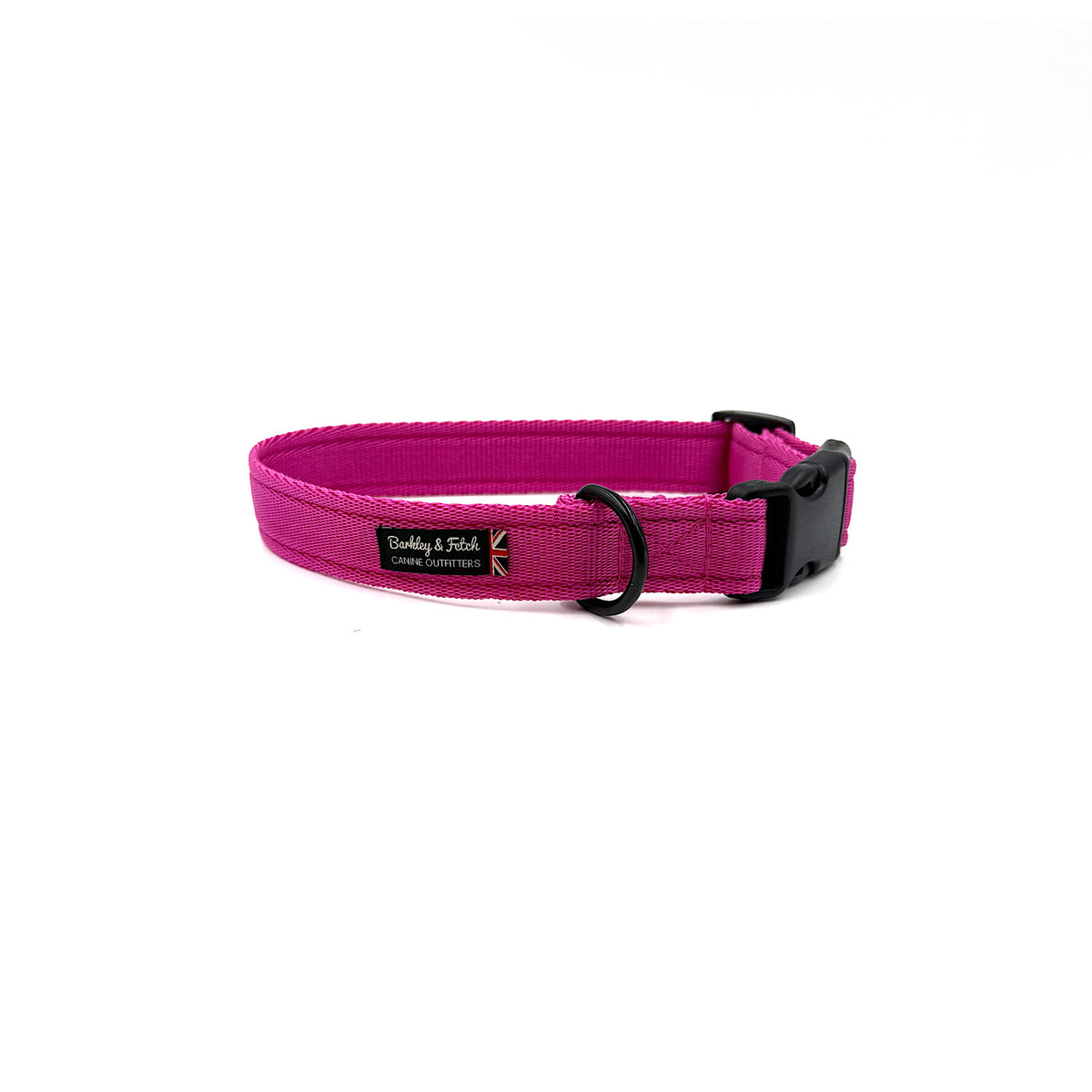 Essential Cushion Webbing Dog Collar