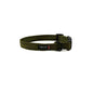 Essential Cushion Webbing Dog Collar