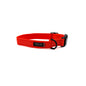 Essential Cushion Webbing Dog Collar