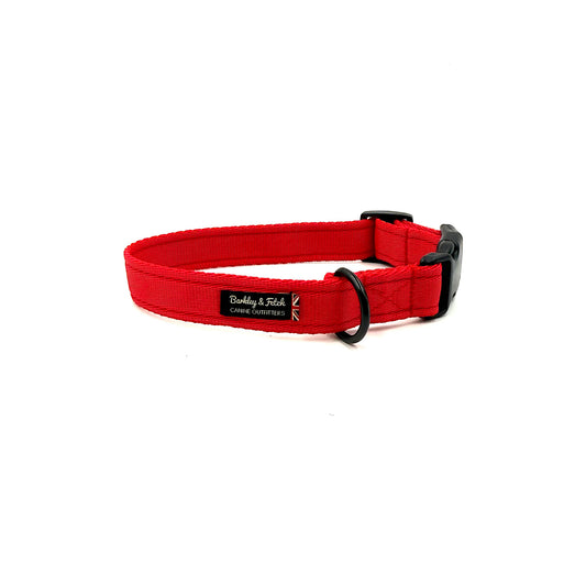 Essential Cushion Webbing Dog Collar