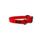 Essential Cushion Webbing Dog Collar