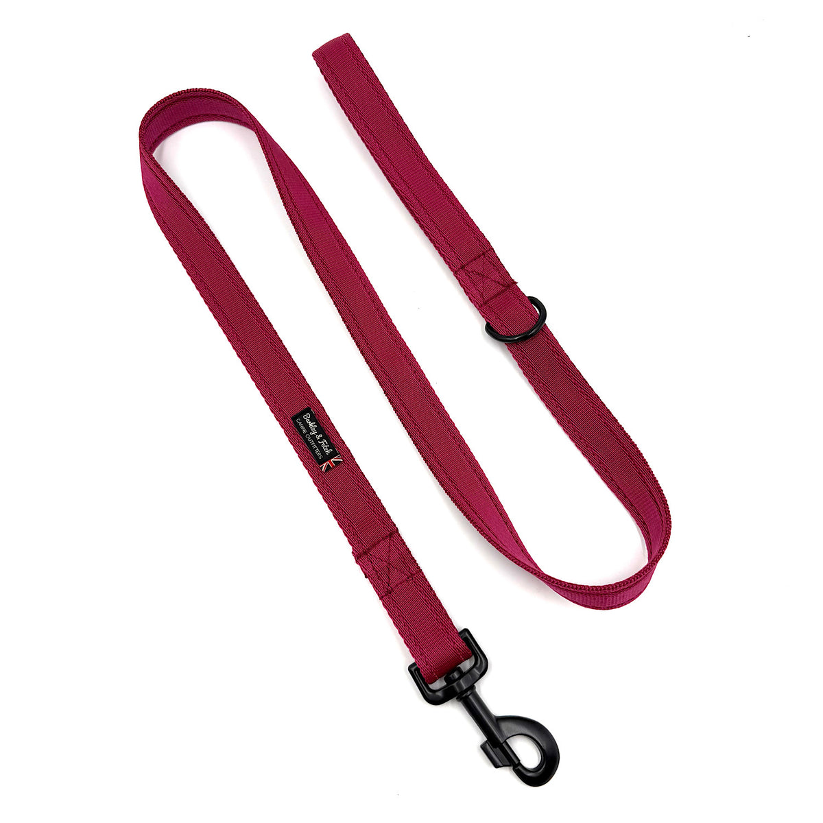 Essential Cushion Webbing Dog Lead