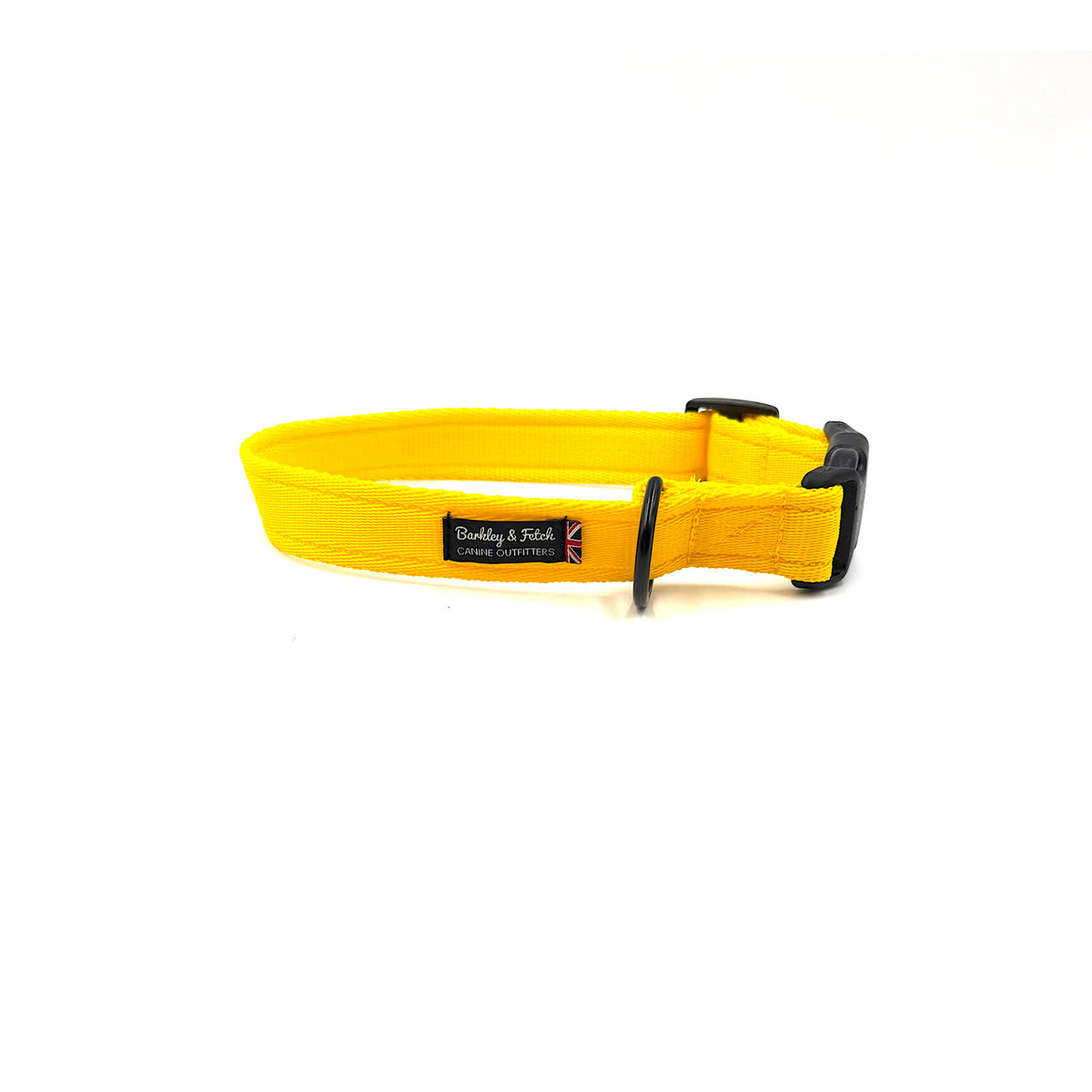 Essential Cushion Webbing Dog Collar