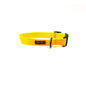 Essential Cushion Webbing Dog Collar