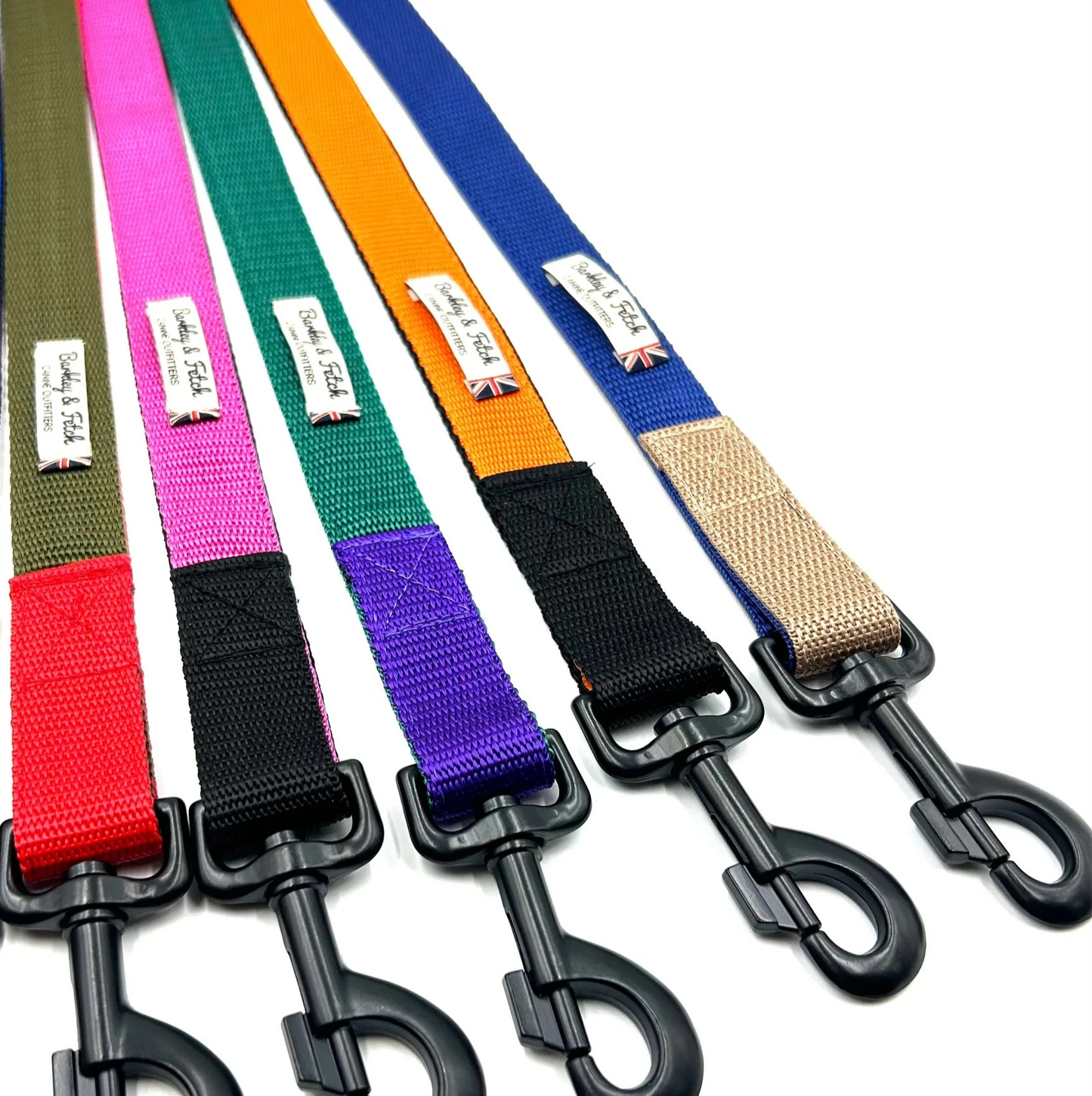 Set of colorful dog leashes with black clip ends on a white background