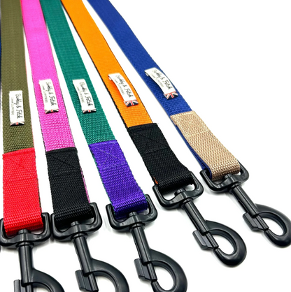 Set of colorful dog leashes with black clip ends on a white background