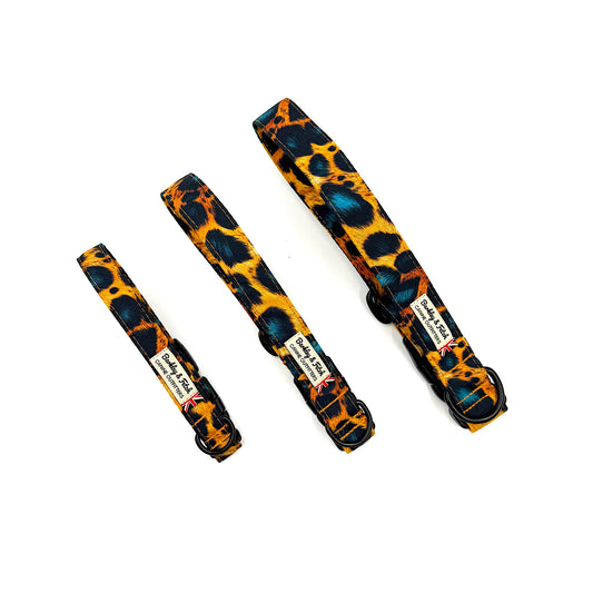 Funky Leopard Print Dog Collar