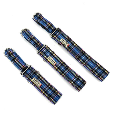Pale Blue Tartan Martingale Dog Collar
