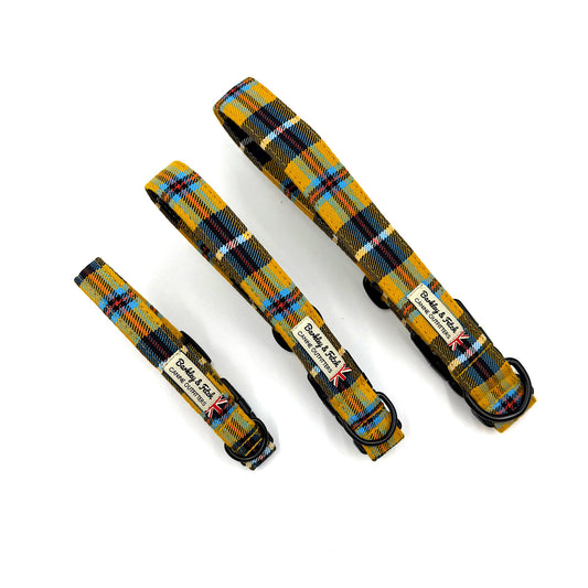 Cornish Tartan Dog Collar