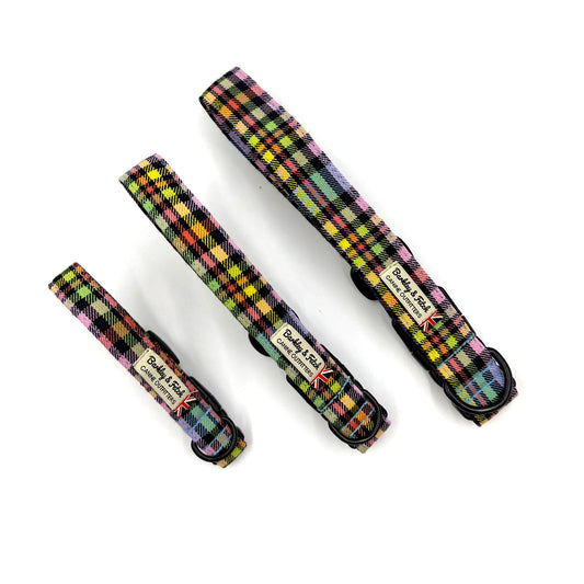 Pastel Rainbow Check Dog Collar