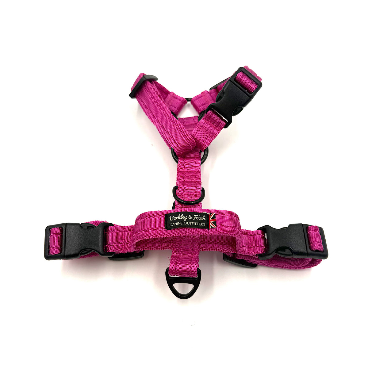 Essential Cushion Webbing Dog Harness