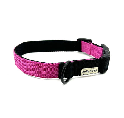 Colour Block Webbing Dog Collar