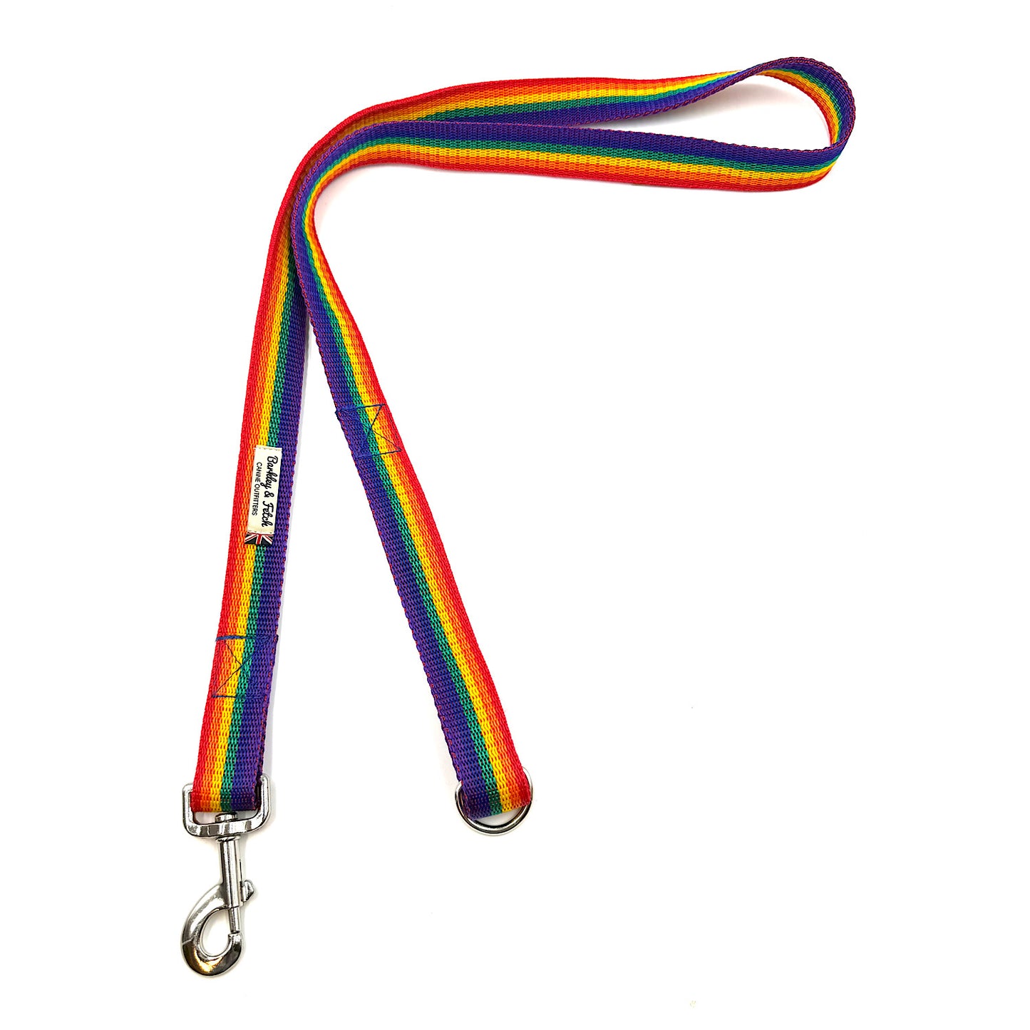 Colour Block Webbing Dog Lead
