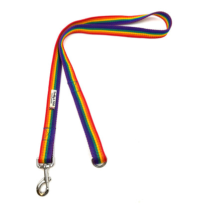 Colour Block Webbing Dog Lead