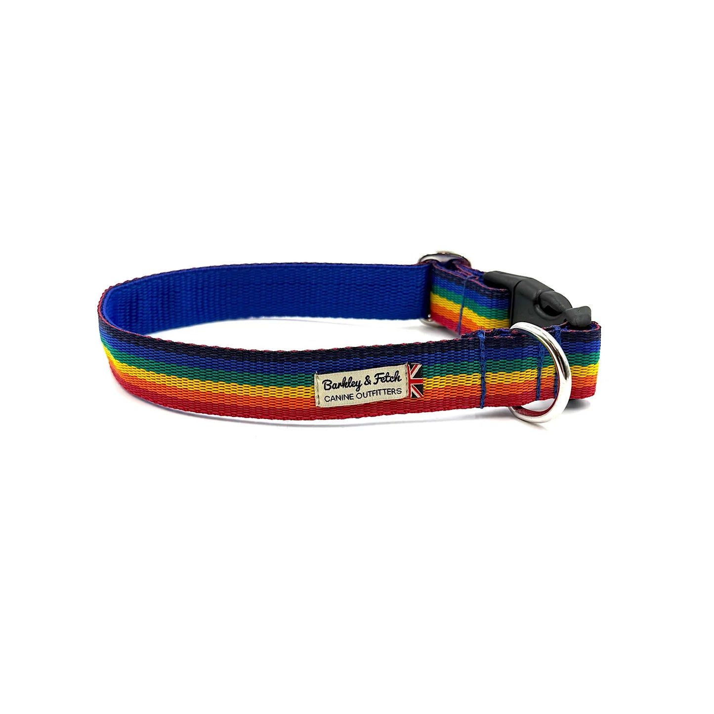 Colour Block Webbing Dog Collar
