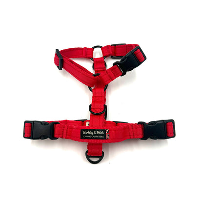 Essential Cushion Webbing Dog Harness