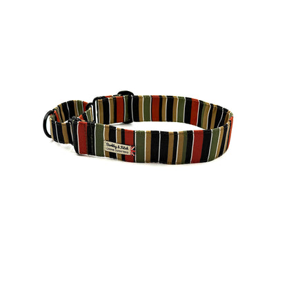 Roman Stripe Martingale Dog Collar