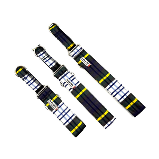 Gordon Tartan Martingale Dog Collar