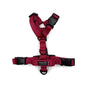 Essential Cushion Webbing Dog Harness